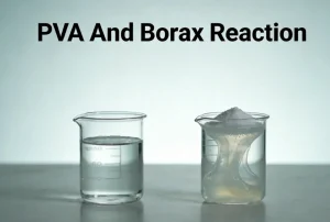 PVA And Borax Reaction